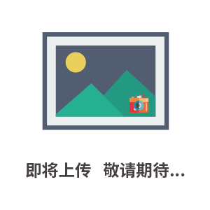 豪華擺閘-橋式考勤擺閘-有機玻璃擋板擺閘